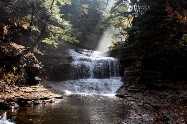 �������