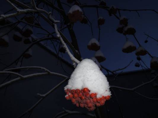 ������ ������:)