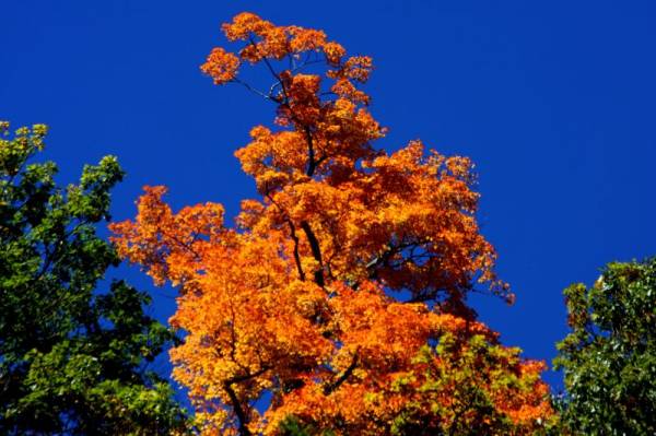  ������� �����