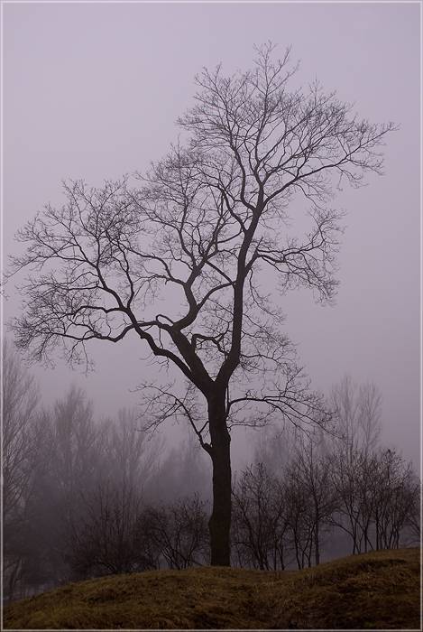 � ������.