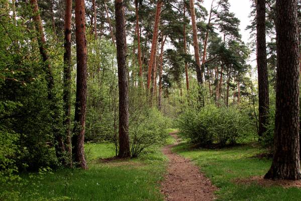 ��� � ���