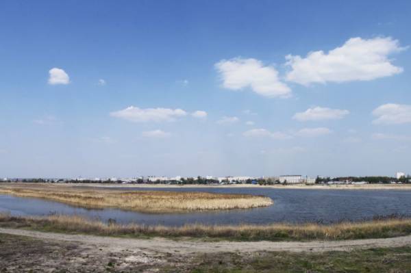 ���������� �����