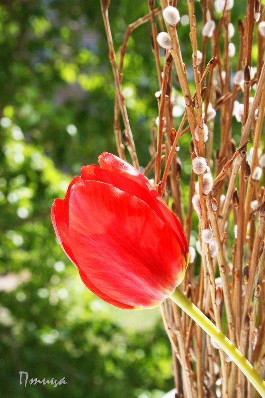 �������