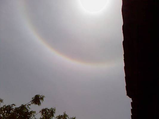 ������ ������ ������