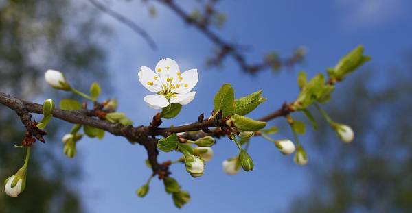 ����� ������....