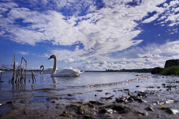 ������...