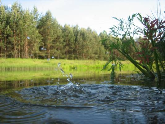 ��������� �����