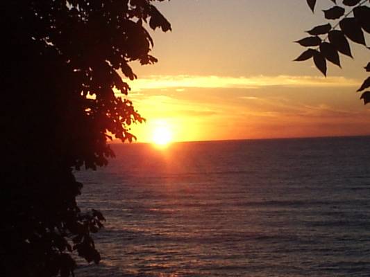 ������� �� ����