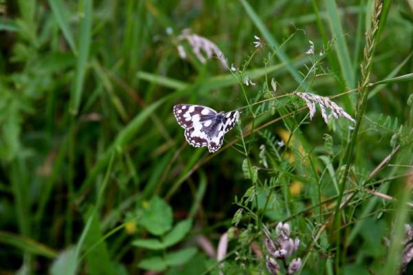 �������