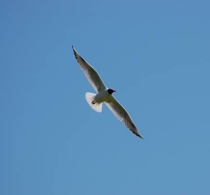 ��������!!!!!!