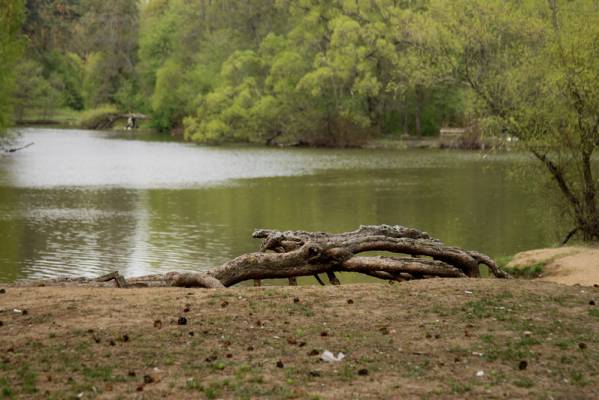 �� ������