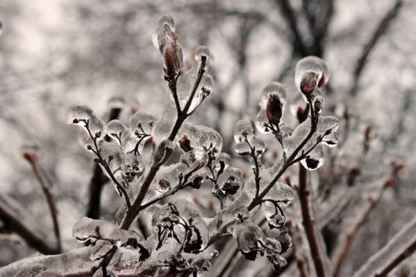 ������� �����