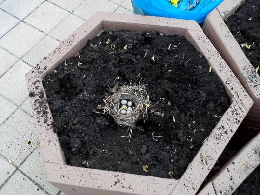 ������ ���� �������� � ������