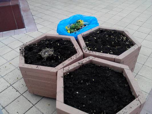 ������� ����� � ���������� ������ 