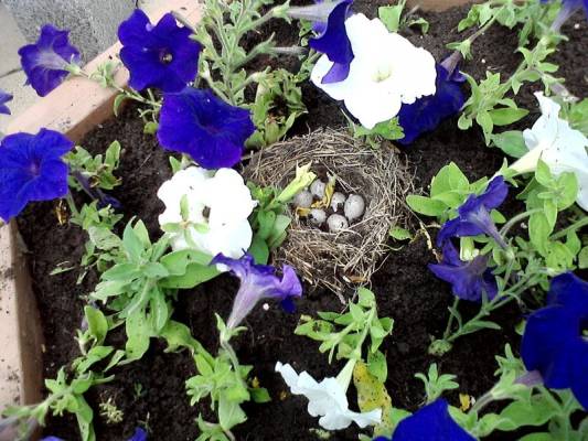 �������� �� ����