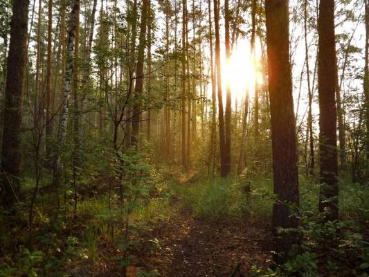 ���� � ����