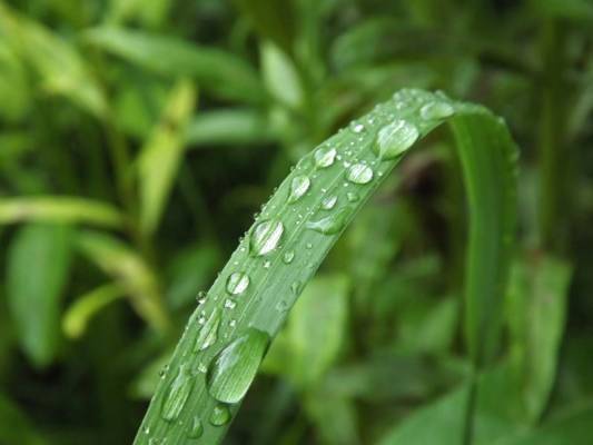 ����� �����