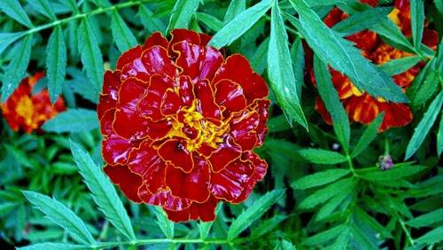 �������