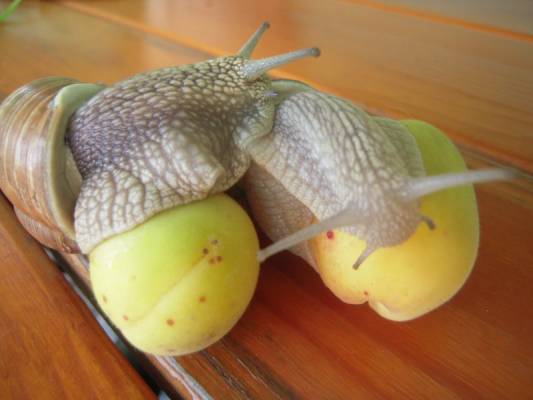 � ��� ��� ����� ������?