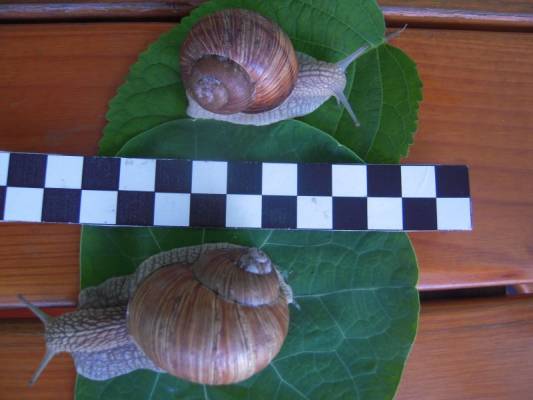 ����, � ������ ����� �� ���������?