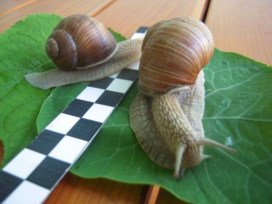 �������� ����� ������..������� ��������� �����