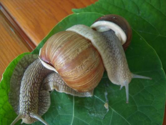 � ��� ��� � ���� �� �����