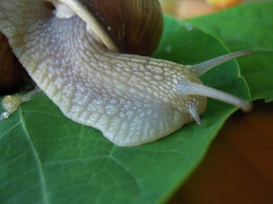 ����� ��� ��������� ��� �� ����