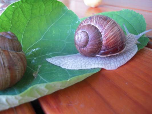 ����, �� ���� �����, ����� ������!