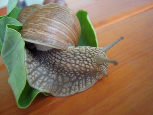 ��! ������� �����, �� ��� �� ������