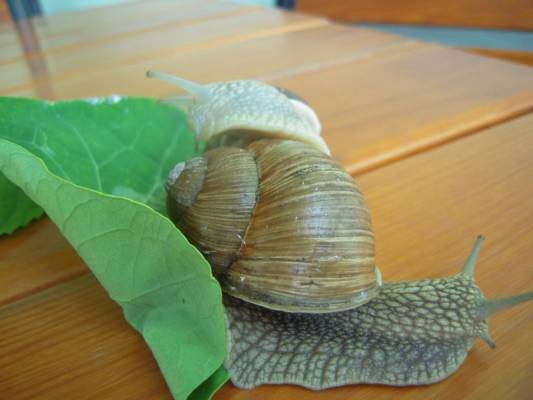 ����, � �� ���?