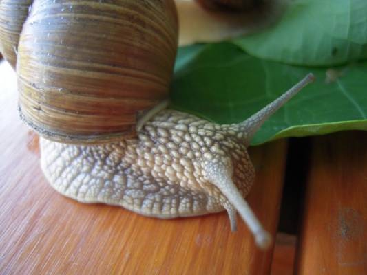 ����? ����� � ����� �����������...