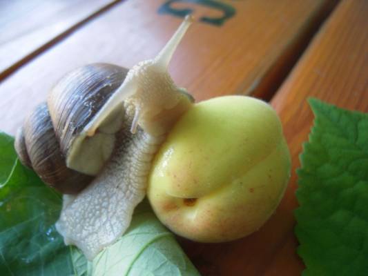 �! ����� ������� ���� � ������ ������