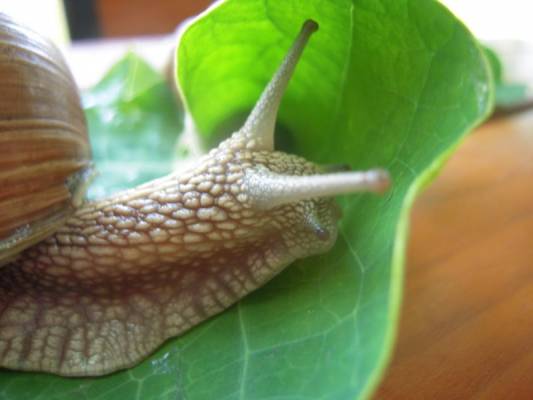 ����� � ����� ������� ��� ��������� ��������