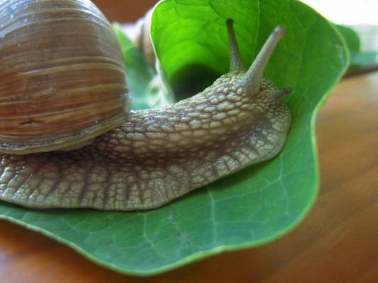 ����� ��������� ��������...�� ���� �� ���