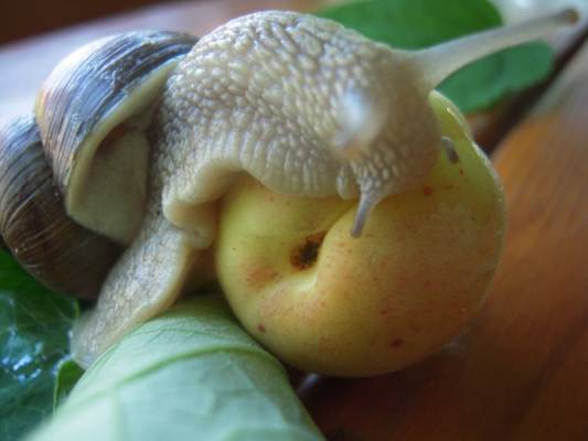 �������, ������, � ��� � ���� ������?