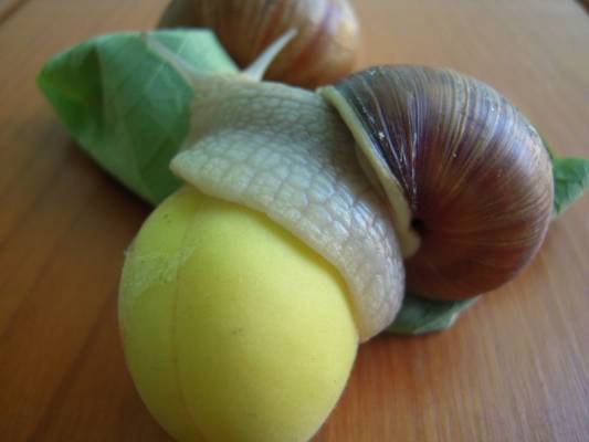 ����, ��� ��� �� ������� �����..������ ��� ��� ���������?