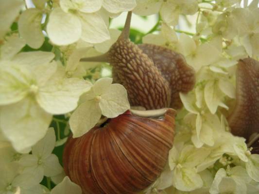 ����, ��� ��� ����!