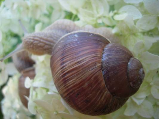 ������ ���...� ��� �� ������, ����?