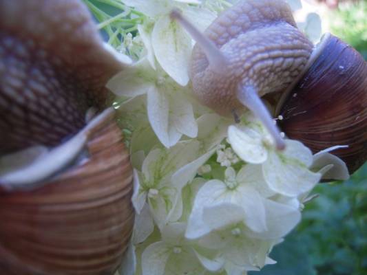 ����, � �� ����� ����?