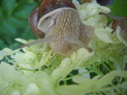 �����! ��� �� ��������!