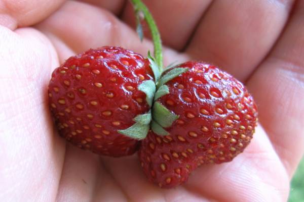 ��� � �����