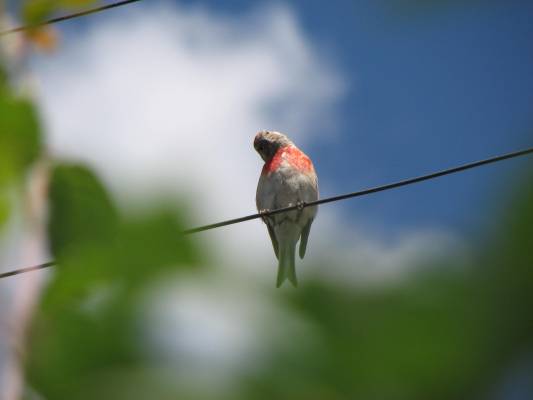 ����� �� ����....