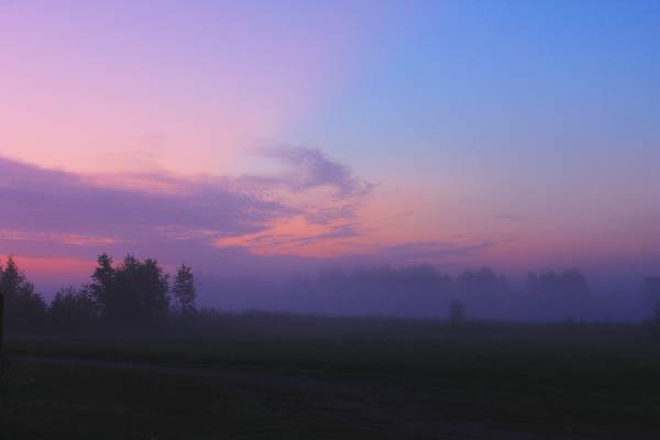 � ������