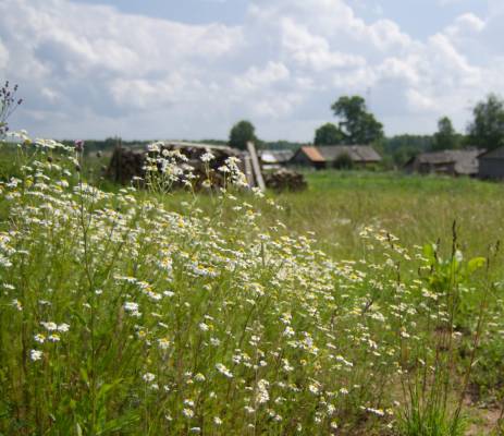 ������, ��...