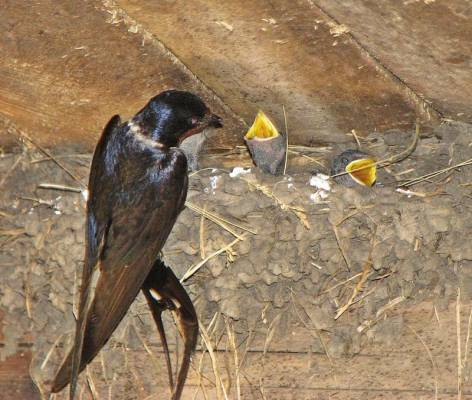 � �� ���� �� ��� ������������...