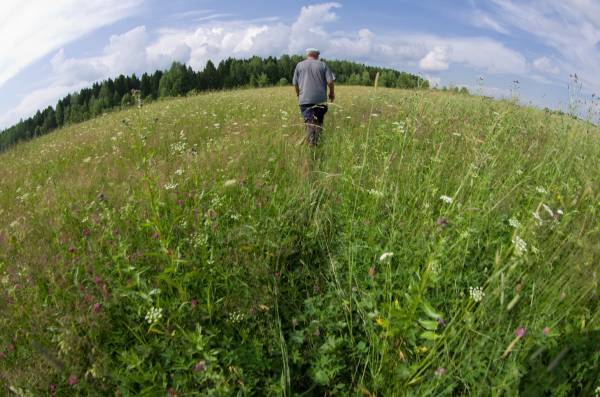 �� �����...