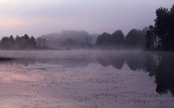 ���� �� ����