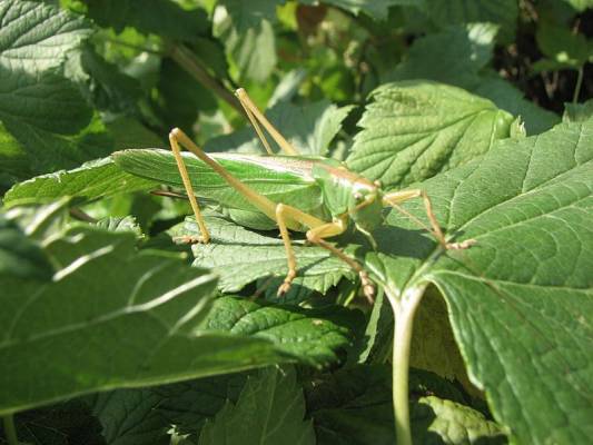 ����������� �� ��