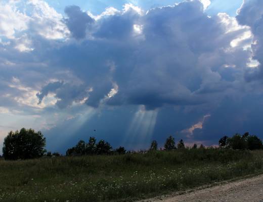 ����� ���