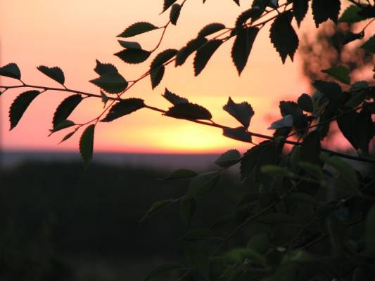 ������� � ������